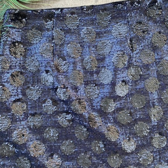 Anthropologie—Broadway & Broome—Sequin Skirt - Picture 6 of 8